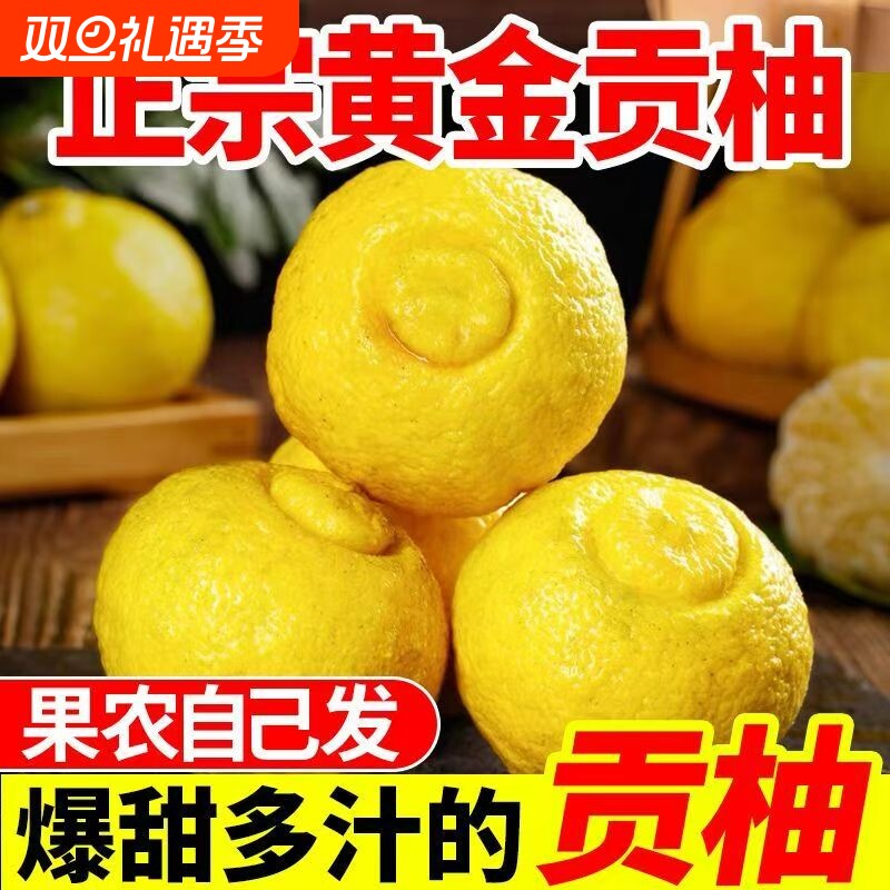 怀化洪江黔阳黄金贡柚岩垅春香桔柚象山青湖南雪峰小甜柚礼盒柚子