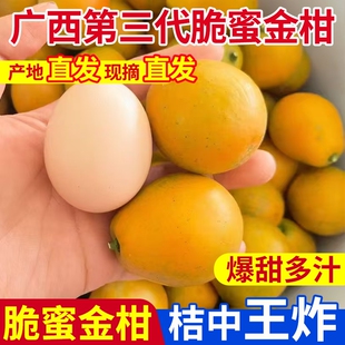 融安金桔第三代脆蜜金柑鲜果现摘现发新鲜脆甜独立包装袋装甜蜜