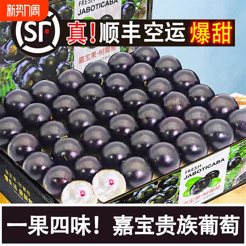 【顺丰空运】嘉宝果树葡萄新鲜现摘罕见孕妇清甜多汁礼盒装送礼