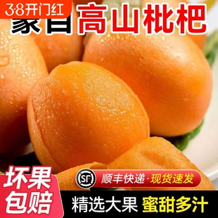 顺丰上门正宗蒙自枇杷新鲜琵琶孕妇可吃当季整箱鲜甜多汁送枇杷叶