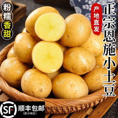 新鲜黄皮黄心土豆新鲜现挖