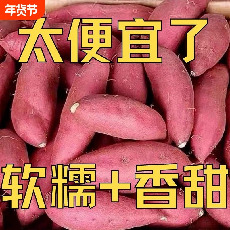 河南板栗红薯新鲜沙地蜜薯番薯地瓜蔬菜农家自种现挖现发软糯红心