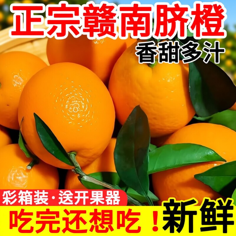 现摘正宗赣南脐橙赣州产地直发江西脐橙当季新鲜水果橙子