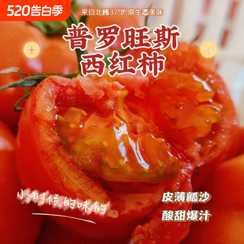 山东正宗普罗旺斯西红柿新鲜自然成熟番茄生吃应季水果蔬菜真柿子