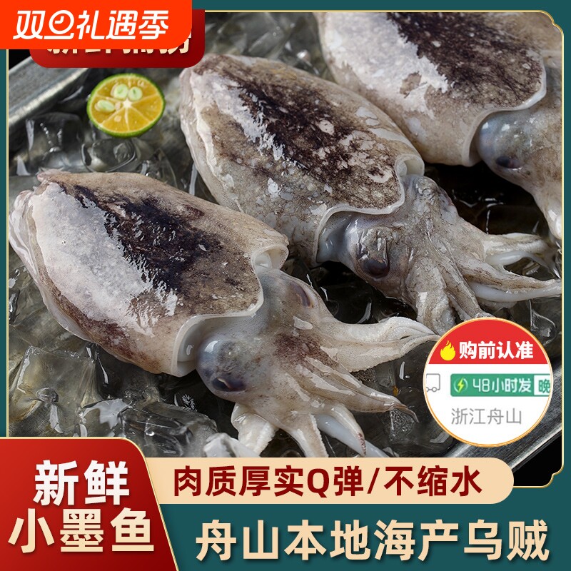 真正舟山小墨鱼新鲜墨鱼仔超大号冷冻生海鲜鲜活水产大乌贼目鱼