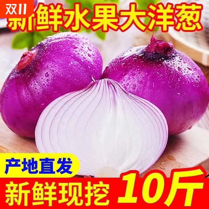 正宗紫皮洋葱圆葱葱头新鲜应季蔬菜农家甜可生吃红洋葱头净重发货