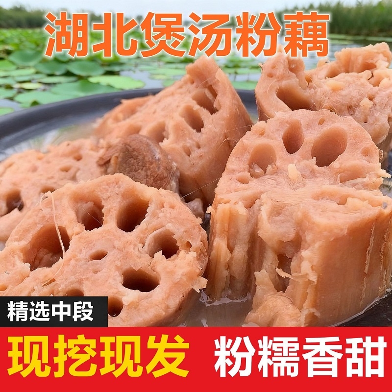 洪湖特产新鲜粉藕莲藕煲汤专用粉藕湖北正宗新鲜现挖箱装软糯批发