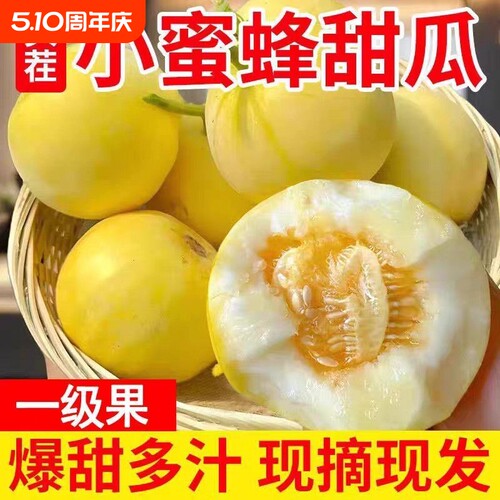 星甜小蜜蜂甜瓜蜜罐香瓜