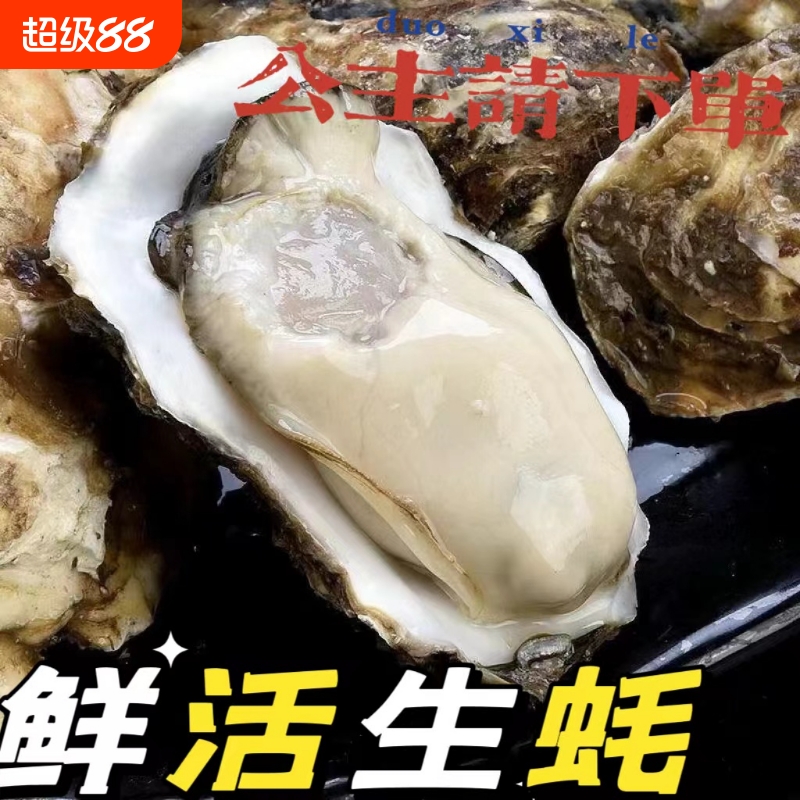 新鲜生鲜鲜活生蚝新鲜牡蛎海蛎子5斤刺身即食海鲜水产烧烤商用