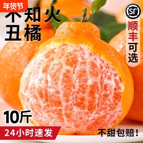 四川不知火丑橘水果新鲜应当季整箱桔子柑橘耙耙丑八怪优选阳光