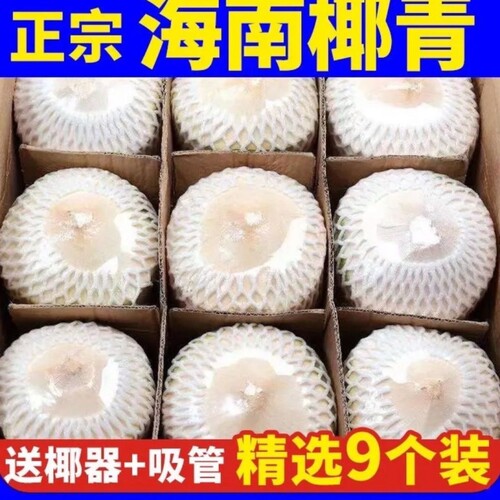 正宗海南椰子新鲜椰青2-9个装当季水果现摘去皮青椰子水整箱包邮