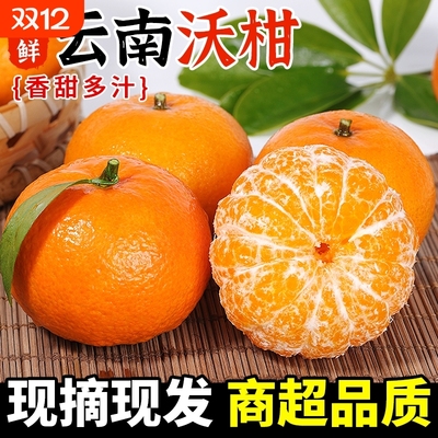 云南沃柑正宗新鲜桔子水果10斤橘子当季皇帝蜜柑橘砂糖桔包邮现摘