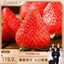 香菇来了新鲜丹东草莓水果牛奶东北果香浓郁多汁果蔬
