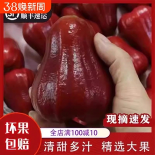 顺丰 泰国进口黑金刚5斤莲雾新鲜水果应季莲雾果批发包邮当季莲雾