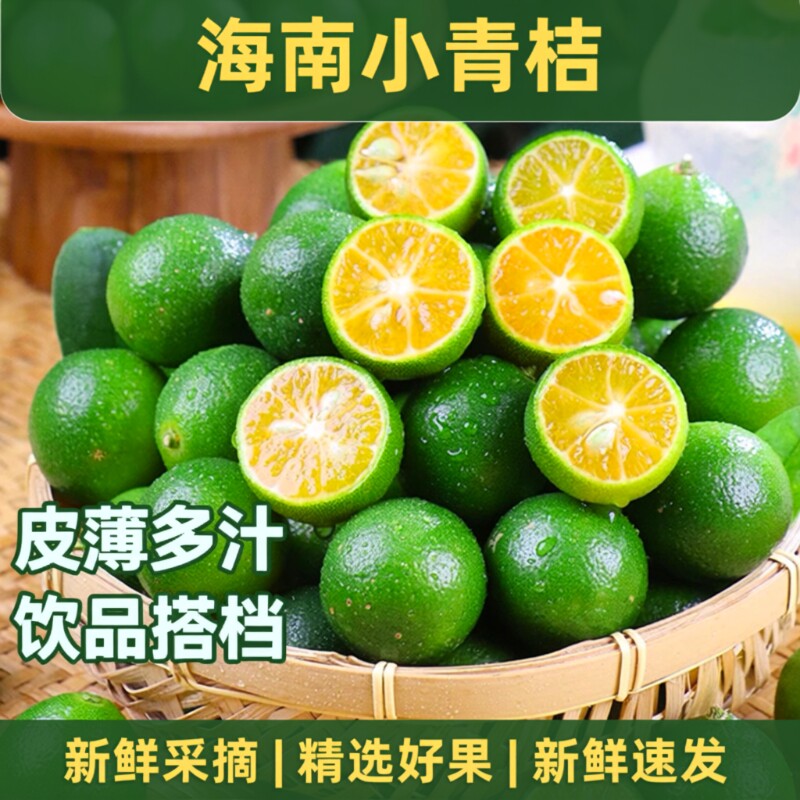 海南小金桔青柠当季新鲜水果奶茶青橘包邮青桔鲜果小青皮薄精选
