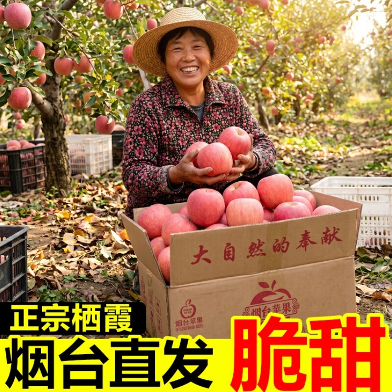 山东烟台栖霞红富士苹果新鲜孕妇水果整箱包邮冰糖心脆甜大果自提