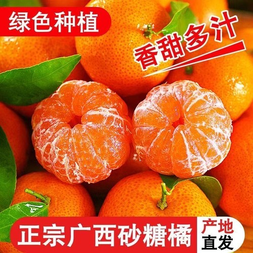 广西正宗沙糖桔新鲜金秋砂糖橘子蜜桔子纯甜应季水果柑橘京东包邮
