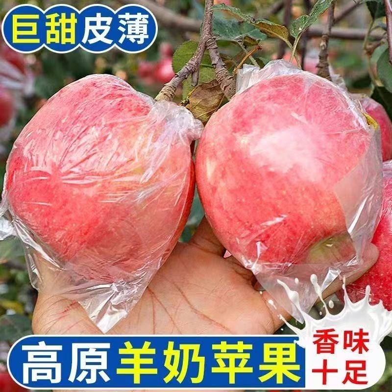 口感香甜正宗山西万荣羊奶水裂纹苹果新鲜水果红富士自然熟脆甜