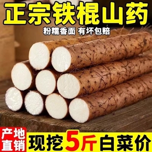 正宗河南垆土铁棍山药新鲜蔬菜小白嘴怀淮山药5斤温县垆特产铁杆