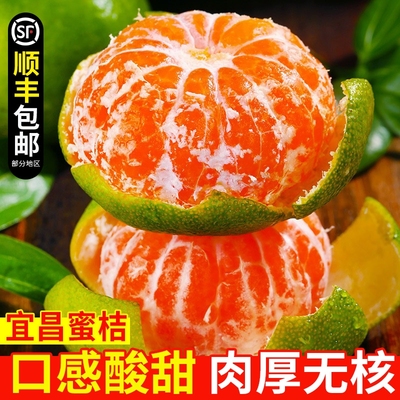 蜜桔顺丰包邮产地直发皮薄多汁