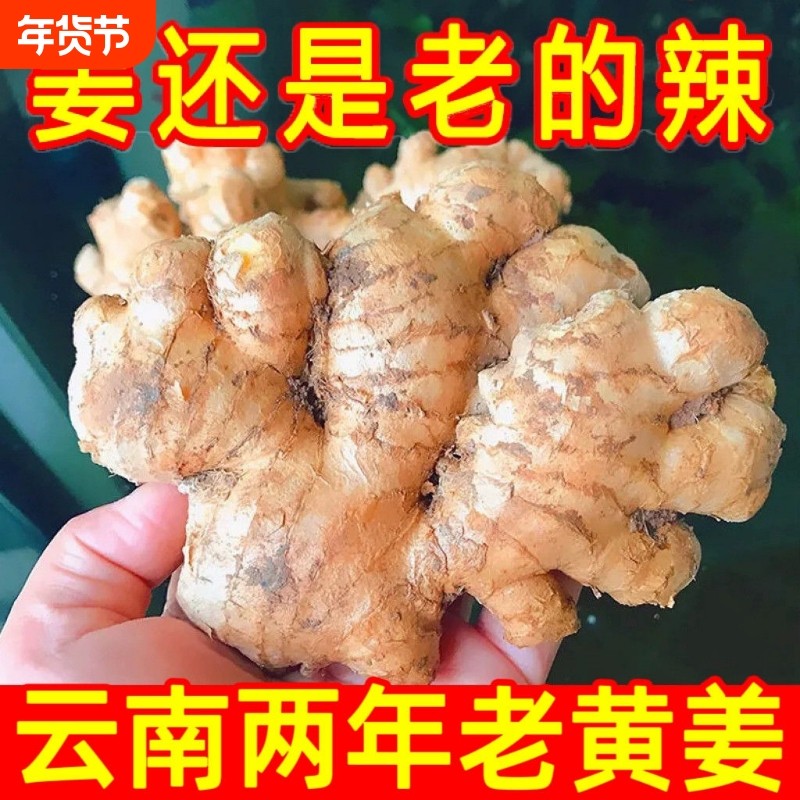 现挖云南特级小黄姜老姜生姜批发应季新鲜蔬菜调味料月子姜老黄姜,水产肉类/新鲜蔬果/熟食,生姜/南姜,淘宝优惠券,粉丝福利购,淘宝优惠卷