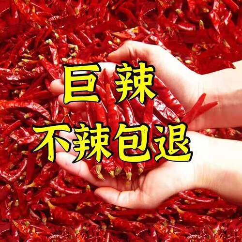 批发特辣辣椒红辣椒段辣椒粉
