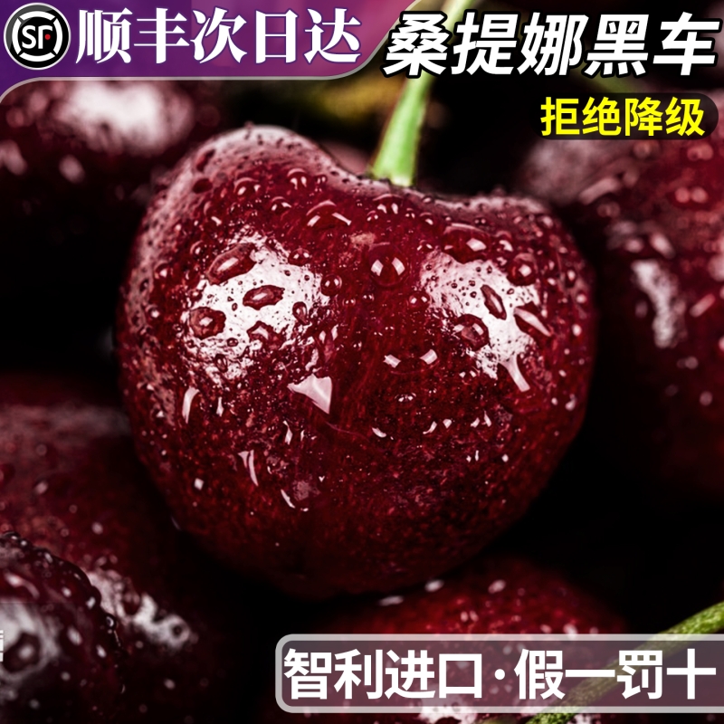 甄选铂金果丨桑提娜丨精美礼盒