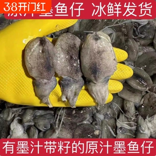 小墨鱼仔生鲜冷冻海鲜目鱼仔墨斗鱼乌贼小鱿鱼仔新鲜干墨鱼带籽