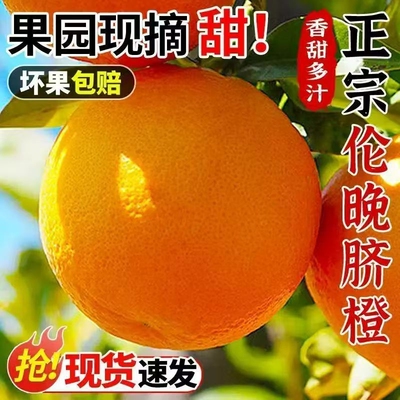 正宗伦晚脐橙9斤大果春橙秭归橙子当季新鲜现摘水果整箱手剥甜橙