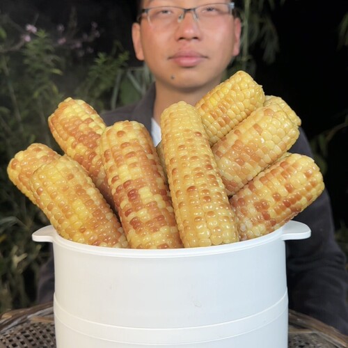 有机绿色五寨甜糯玉米非转低脂