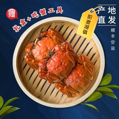 鲜活大闸蟹特大公母大螃蟹生鲜生鲜水产中秋现货海鲜礼盒蟹装净重