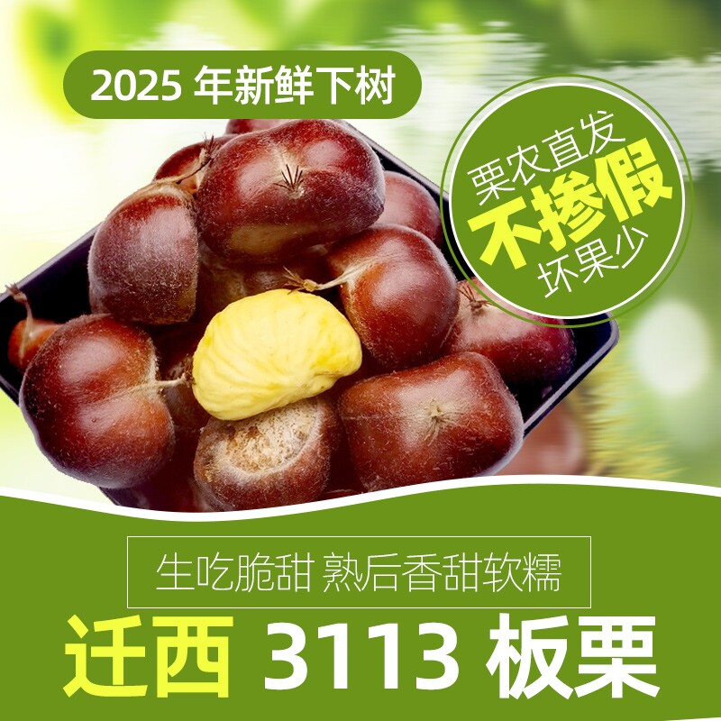 2025年现摘正宗迁西板栗野生油栗生新鲜栗子河北板栗毛栗3113