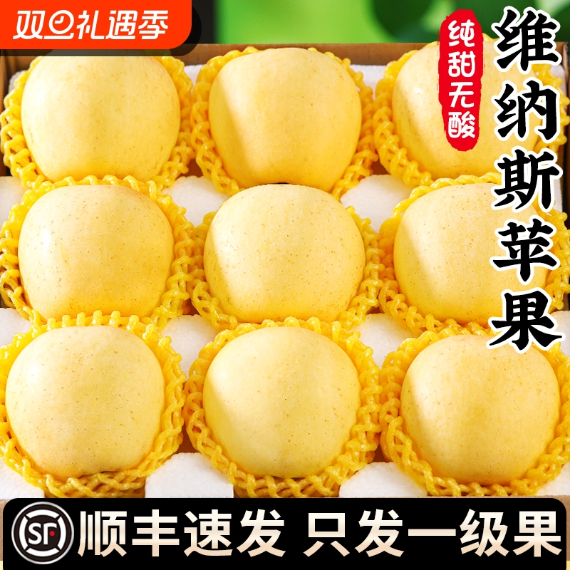 正宗山东烟台黄金维纳斯苹果水果新鲜当季整箱冰糖心产地顺丰包邮