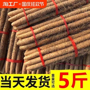 新鲜现挖小白嘴山药淮山药粗山药菜山药农家露天沙地种植产地直发