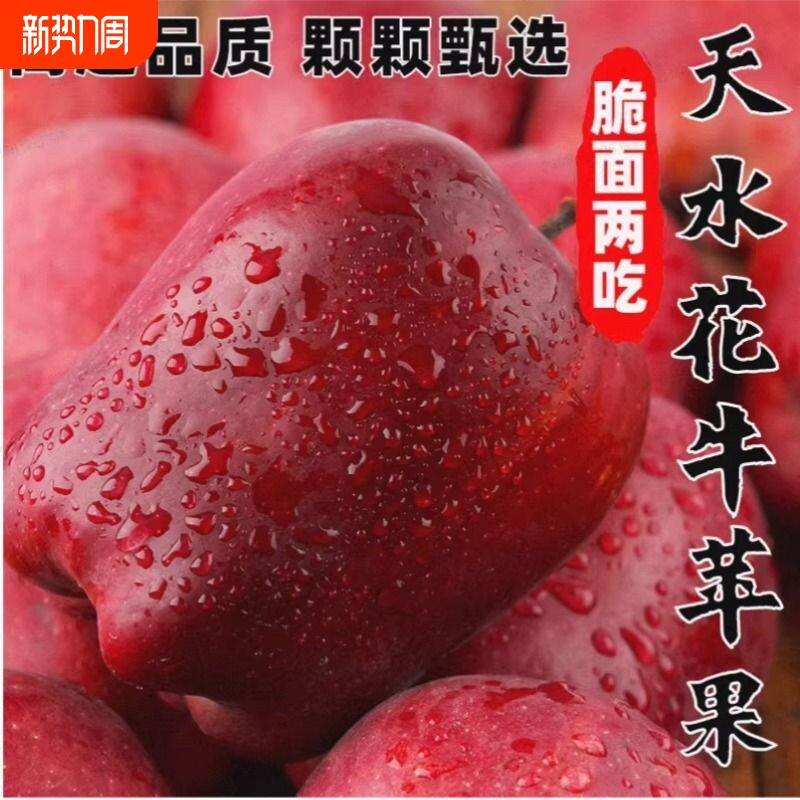 甘肃天水花牛苹果新鲜水果当季正宗平果粉面沙甜婴儿老人苹果整箱