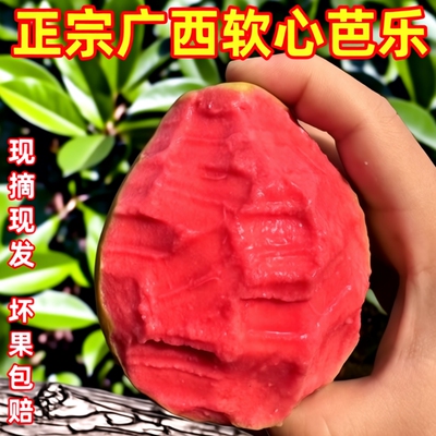 软糯红心芭乐大果|超3000次加购