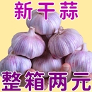 批发正宗紫皮大蒜头大蒜现挖新蒜特大新鲜大蒜整箱 进店快抢