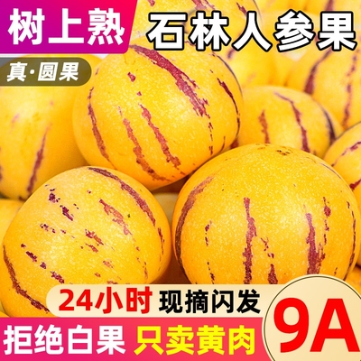 人参果甜整箱鲜果|超1000次加购