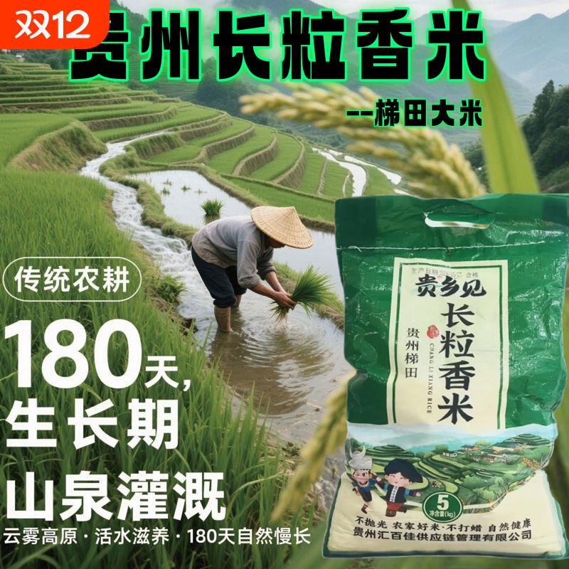 传统农耕贵州梯田长粒香米健康营养两不误农家自种田耕精选大米