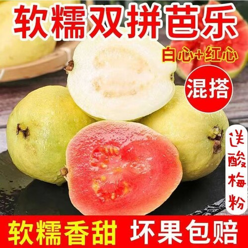 福建软糯软心芭乐5斤水果漳州当季奶油番石榴应季新鲜巴乐果双拼