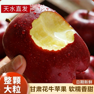 天水花牛苹果水果甘肃10斤新鲜整箱当季 糖心粉面丑平安果现摘应季