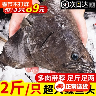 鸦片鱼头鲽鱼头碟鱼头新鲜冷冻特大深海比目鱼雅片鱼商用海鲜水产