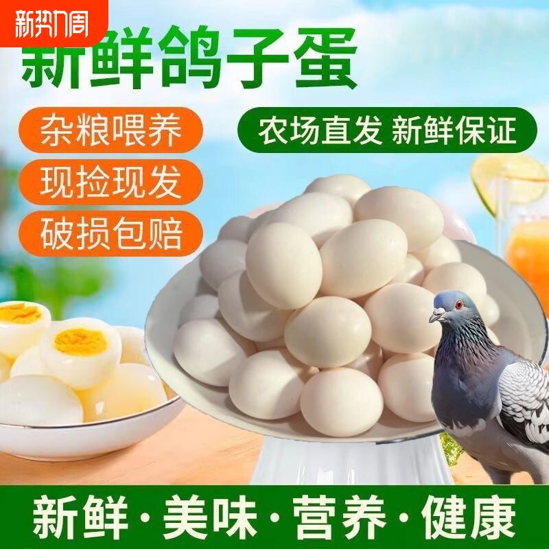 新鲜鸽子蛋30枚孕妇宝宝营养辅食杂粮散养草鸽蛋五谷杂粮喂养鸽蛋