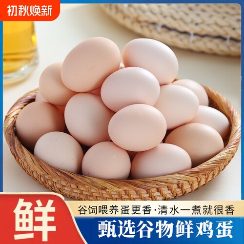 新鲜鸡蛋农场喂养谷物蛋笨鸡蛋45g/枚现发鲜鸡蛋粉壳鸡蛋