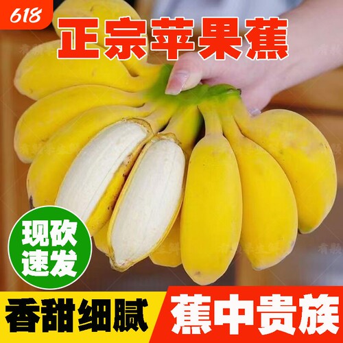 [好甜]正宗广西苹果蕉现摘新鲜应季水果软糯香甜粉香蕉自然熟包邮
