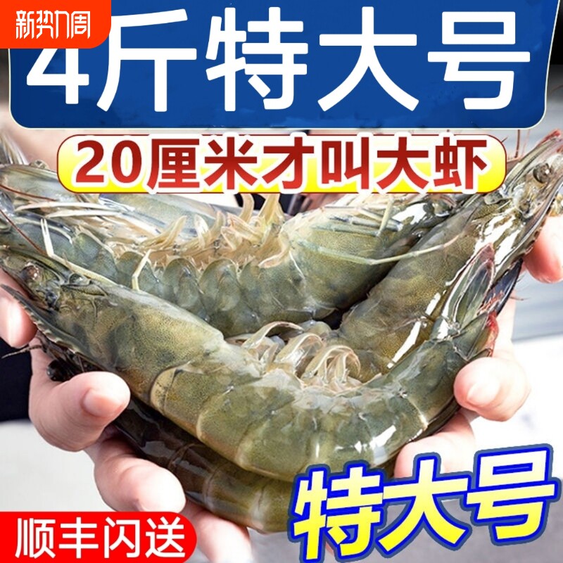 特大号海捕大虾鲜活超大基围虾青岛特大青虾冷冻白虾海鲜新鲜水产