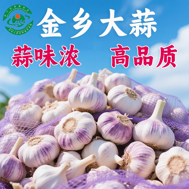 十足干2025年紫白皮大蒜核心产区