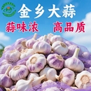 2025年紫白皮大蒜新鲜大蒜头大蒜红皮批发优质蒜子便宜 十足干