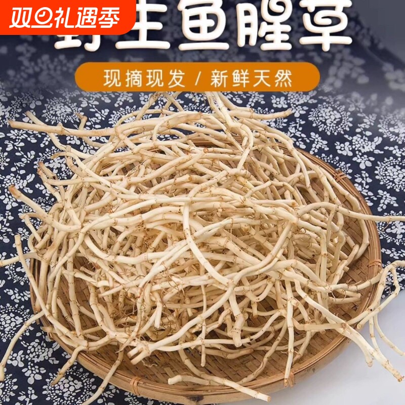 鱼腥草折耳根老根新鲜现挖农家自种下饭菜湖北特产天然折耳跟老根