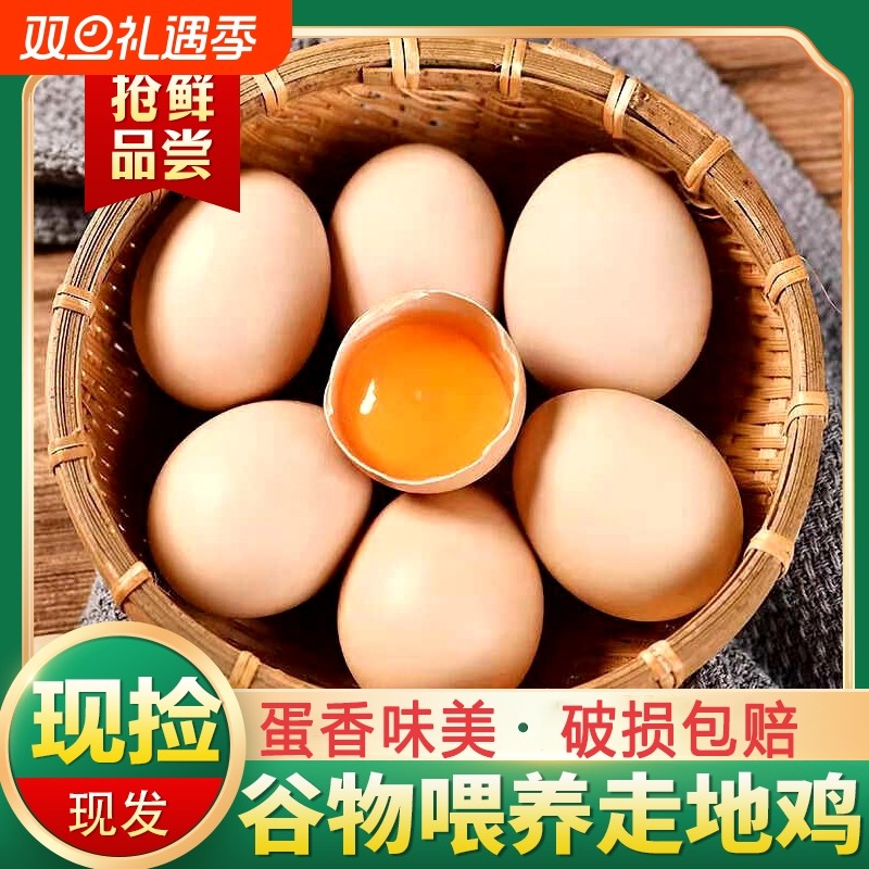 农家散养土鸡蛋新鲜鸡蛋谷物蛋营养早餐宝宝辅食玉米黄鸡蛋